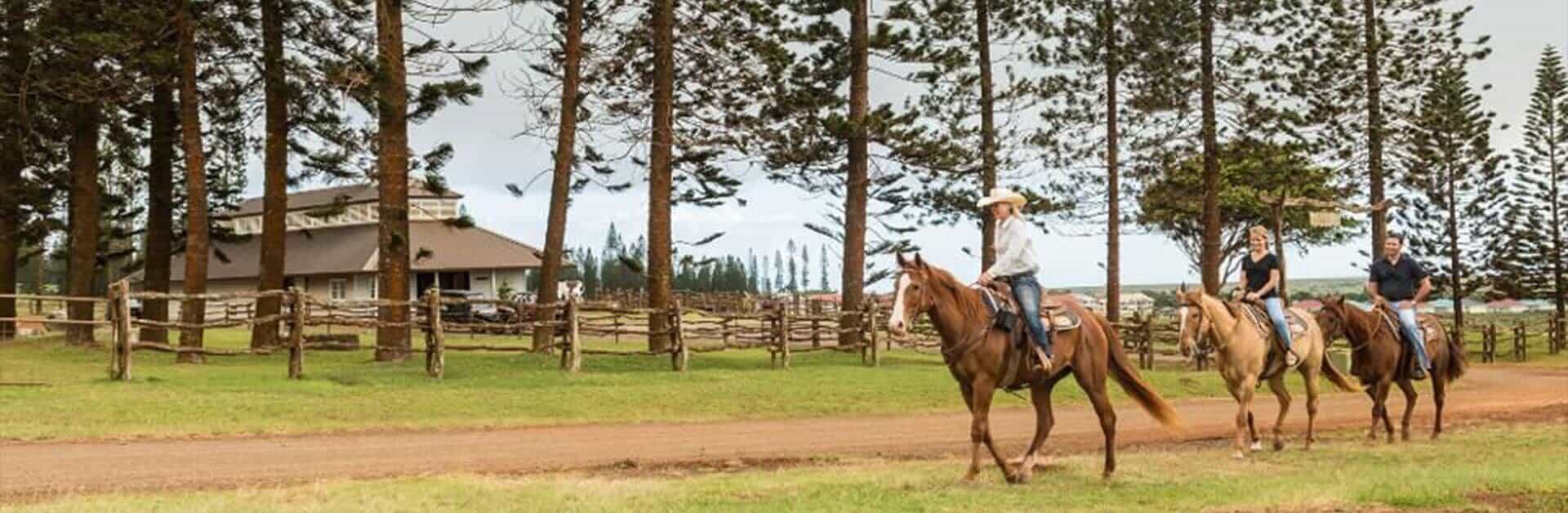 lanai horseback